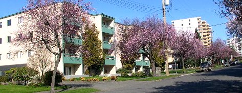 Victoria's Largest Apartment Rental Guide, Croft House Apartments,
128 Croft Street, Victoria, BC, Canada V8V 2E6